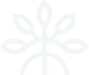 Mangrove logo